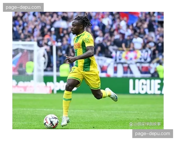 南特2-0击败勒阿弗尔，主场保持不败战绩