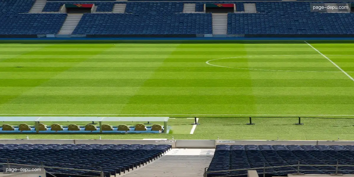 📡 技术赋能体育直播，看得更清更爽更带感，观赛体验全面升级！🤖